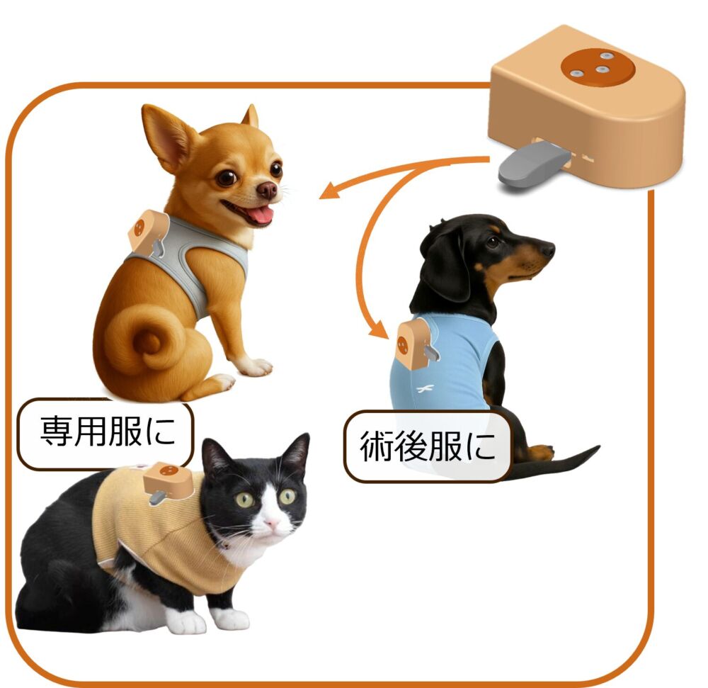 コキュウ・テクノロジーズ㈱