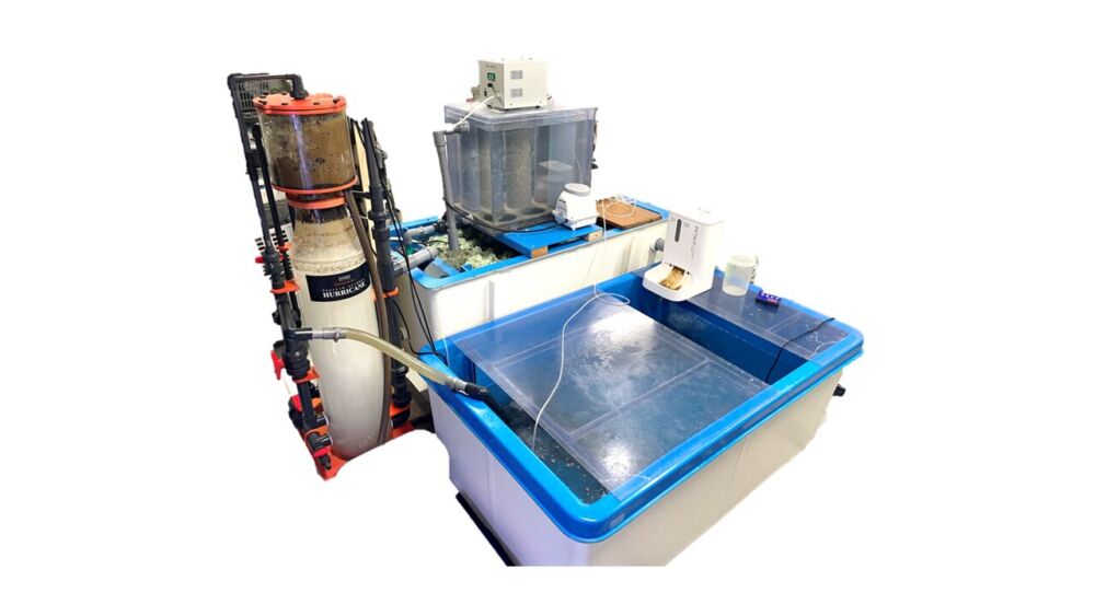 奨励賞：㈱ウィズアクア