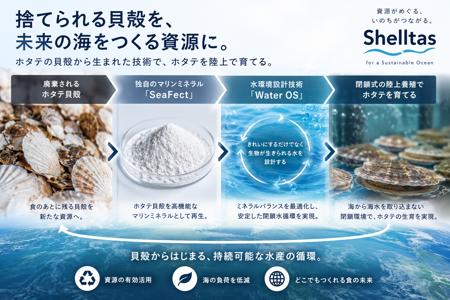 株式会社Shelltas