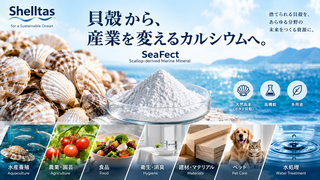株式会社Shelltas
